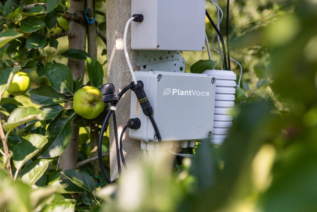 Listening to the plant for better orchard management_Plantvoice